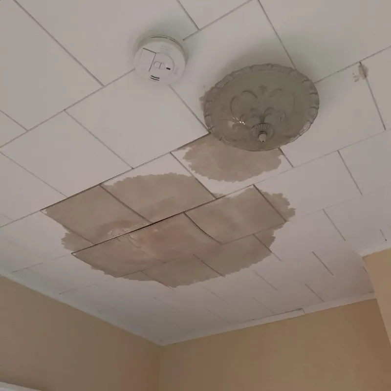 Ceiling Water Damage Repair in Lee, NH