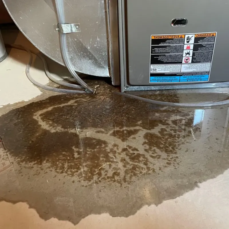 Pipe Burst and Leak Restoration in Lee, NH